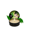  shunga : coffret secret de geisha  organica  thé vert exotique