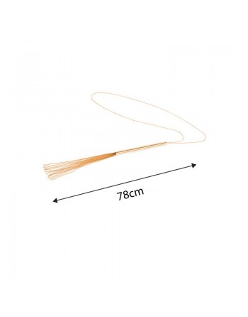  collier fouet