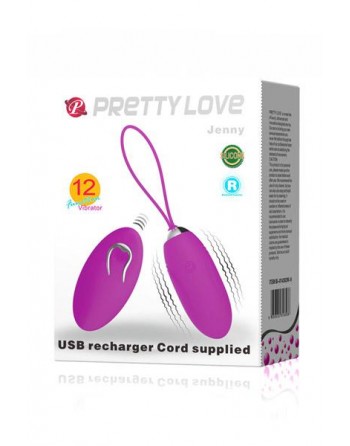 Oeuf vibrant 12 fonctions Pretty Love Jenny USB