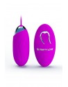 Oeuf vibrant 12 fonctions Pretty Love Jenny USB