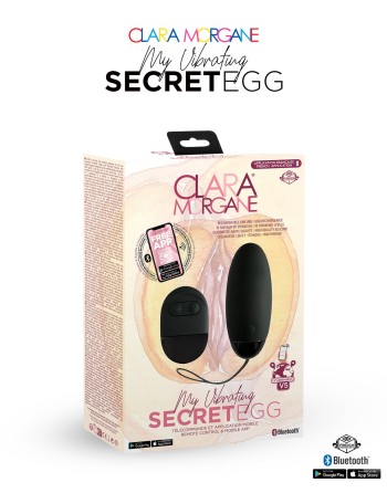 My Vibrating Secret EGG Black