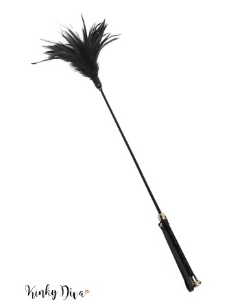 Elégante plume noire long manche