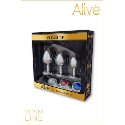 Kit 3 Plugs métal Argent/Bijoux 3 tailles et couleurs différentes