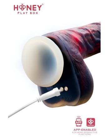 Noctura Gode ventouse réaliste va et vient connecté smartphone USB